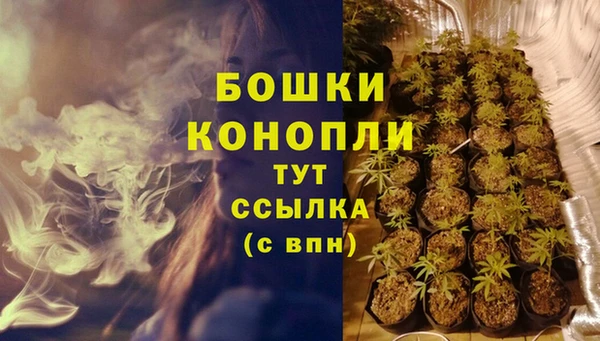 дживик Аркадак