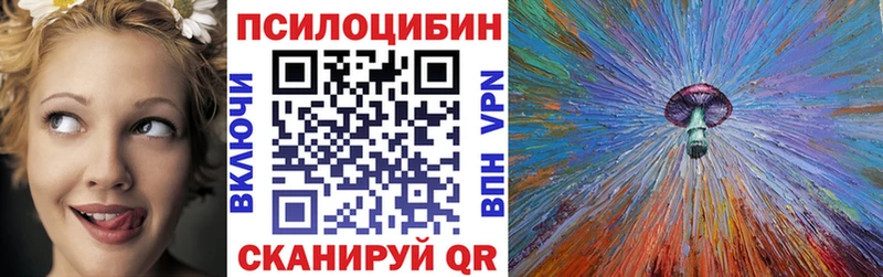 Псилоцибиновые грибы Psilocybe  Суджа 